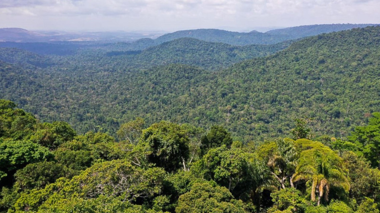 Cúpula da Amazônia visa, em declaração, acabar com o crime organizado na região