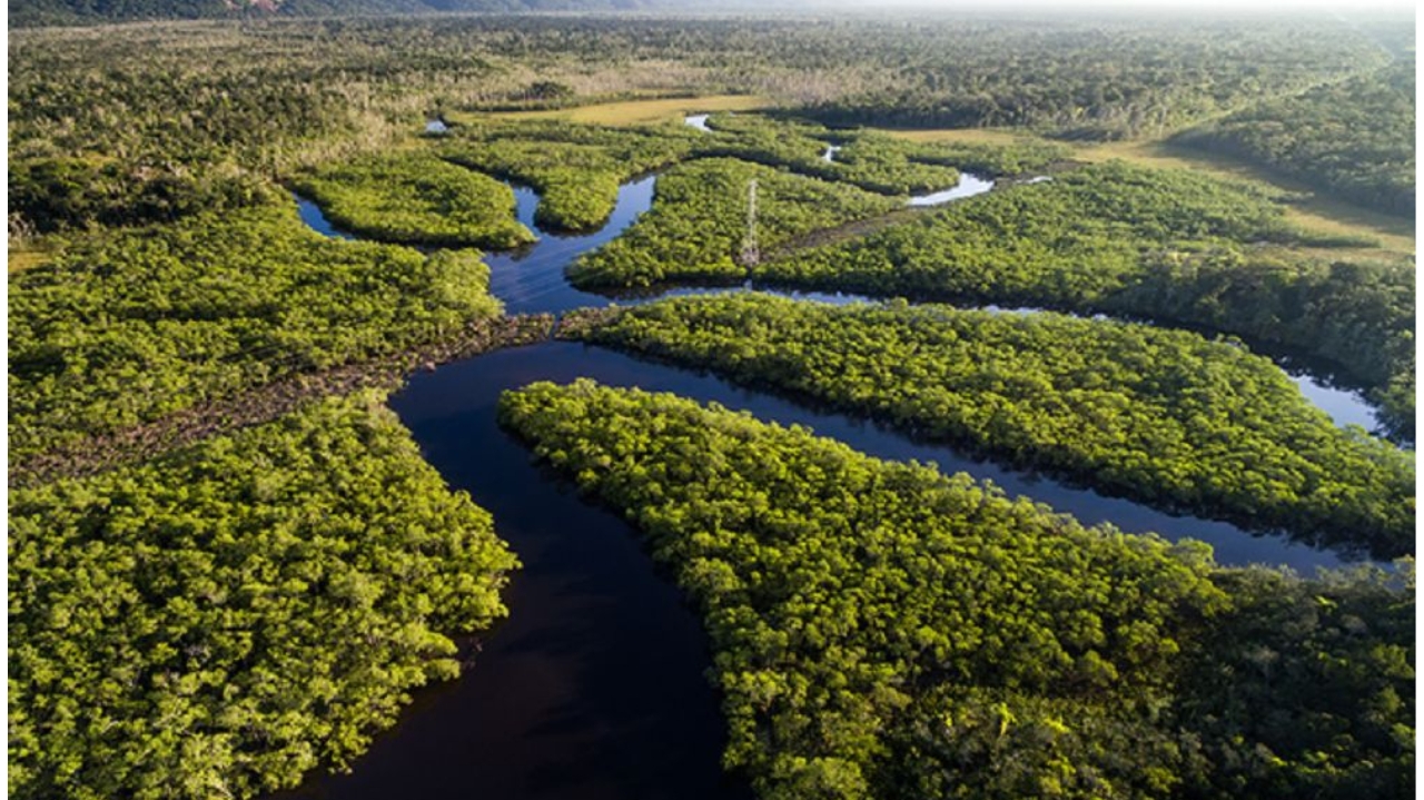 Cúpula da Amazônia chega ao fim sem acordo, e com novos participantes