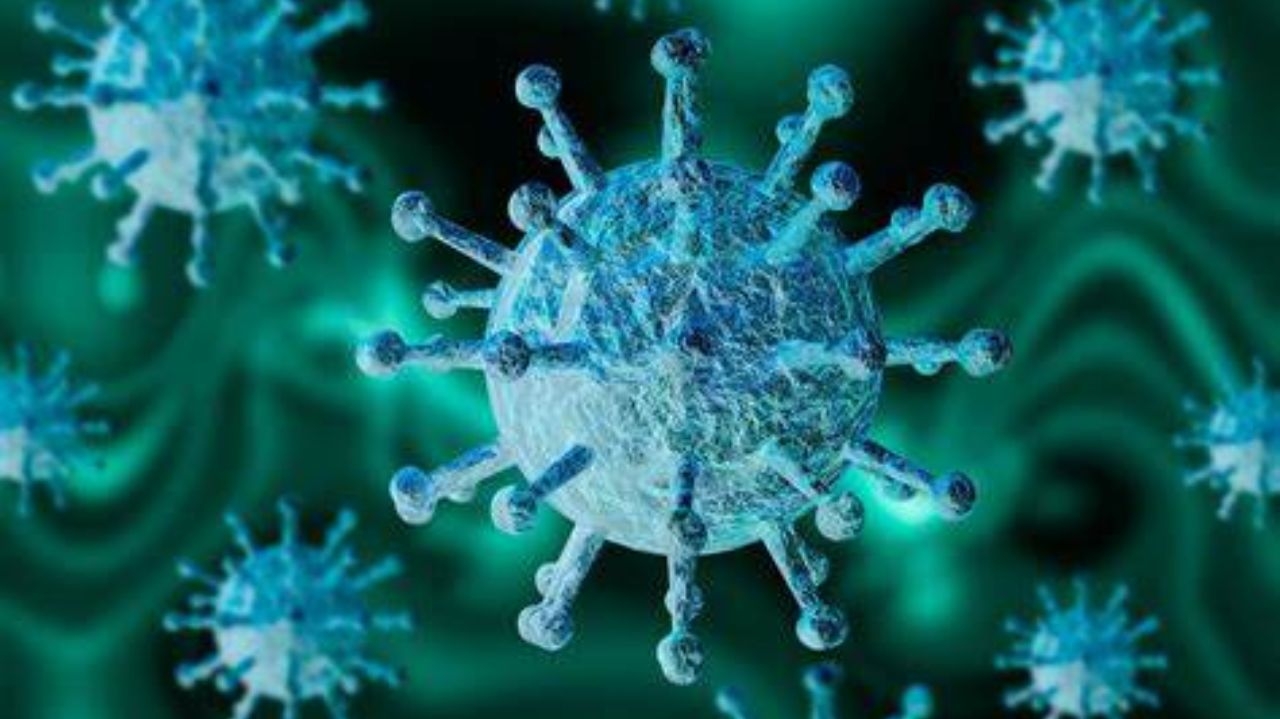 Covid-19: nova variante altamente mutante domina os Estados Unidos