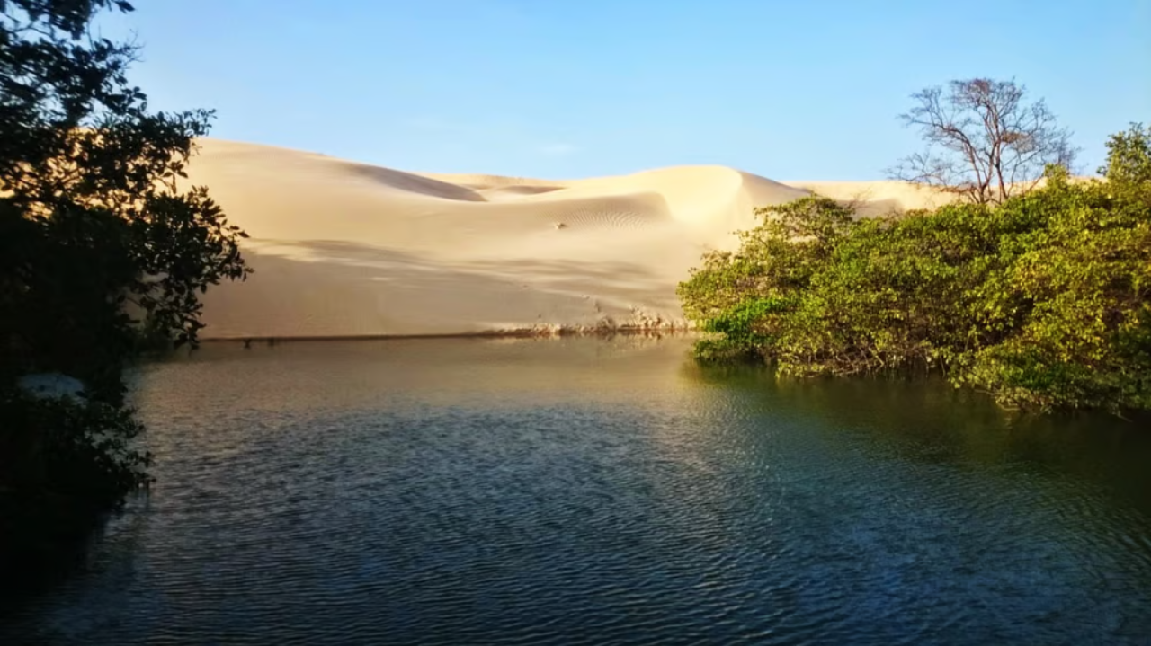 Conheça o passeio pelas Fronhas Maranhenses, no município da Raposa