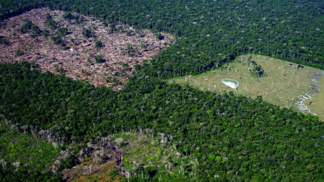 Menos de 1% de vegetação natural em terras aborígenes foi derrubada em 38 anos