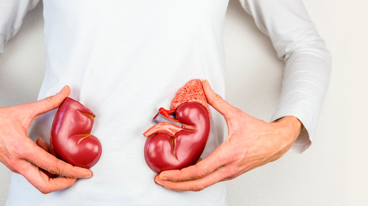 Diabetes e pressão alta: veja o que pode causar a doença renal