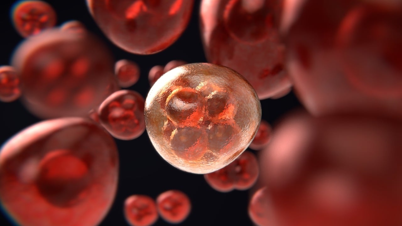 Técnica que recria tumor em 3D ajuda no tratamento de câncer