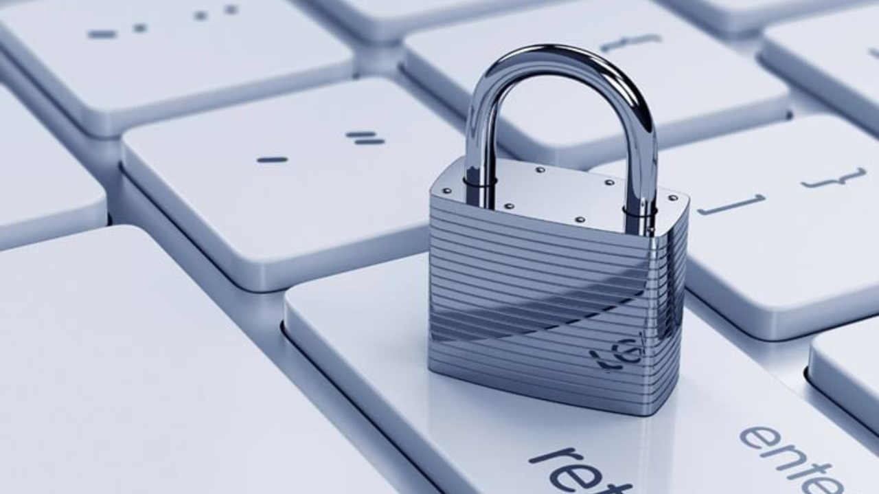 Internautas fortalecem proteção online frente a ameaças cibernéticas