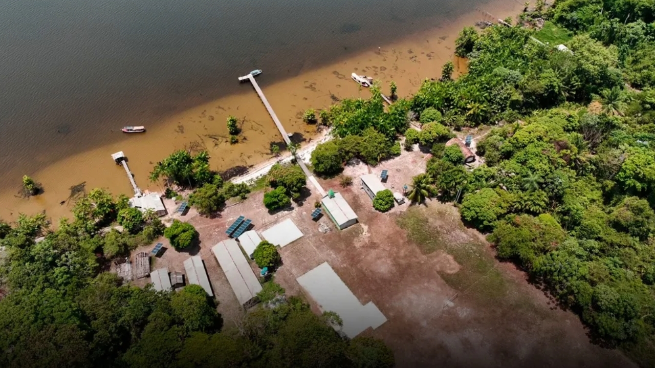 Empresas usam terras públicas para vender créditos de carbono