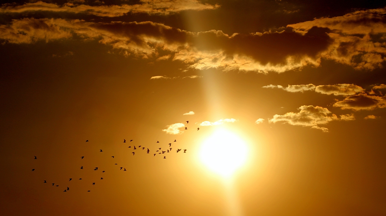 Temperaturas acima do normal são previstas para o país em outubro, afirma o Inmet