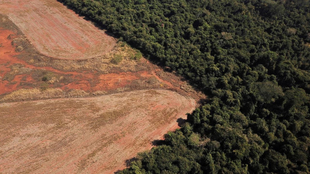 Alertas de desmatamento na Amazônia caem, mas no Cerrado aumentam