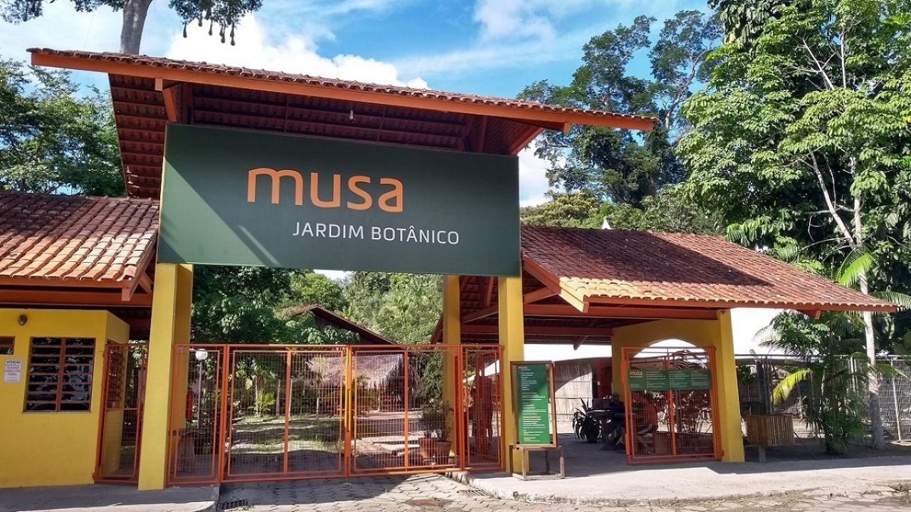 Crianças de até 16 anos terão entrada gratuita para visitar o Museu da Amazônia no Dia das Crianças