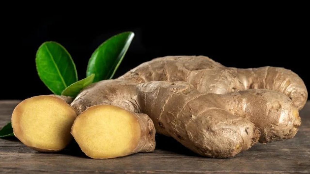 Estudo descobre as vantagens dos suplementos de gengibre no controle de doenças autoimunes