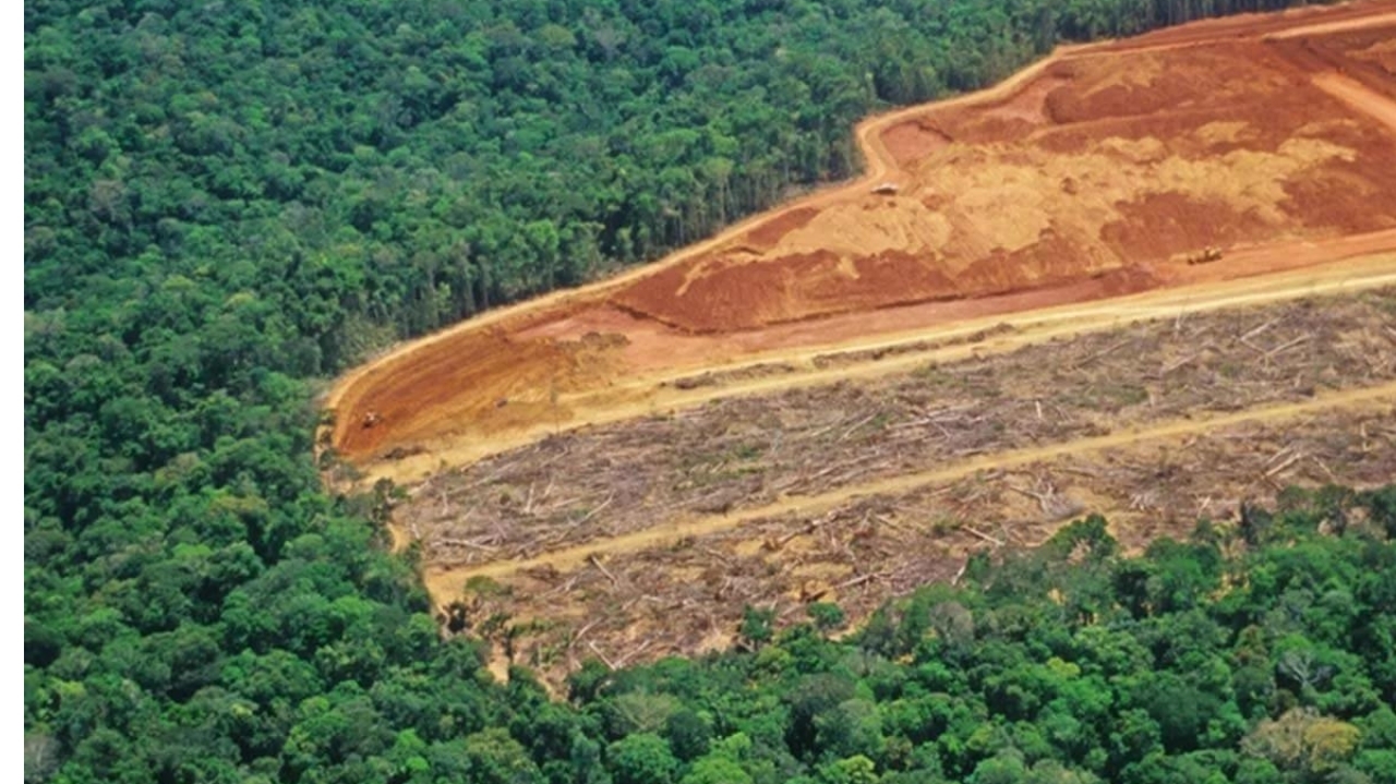 Taxa de desmatamento na Amazônia é a menor desde 2015