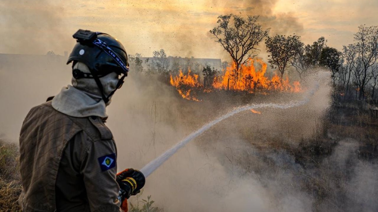 Incêndios florestais atingem a área da rodovia Transpantaneira, no interior do Mato Grosso
