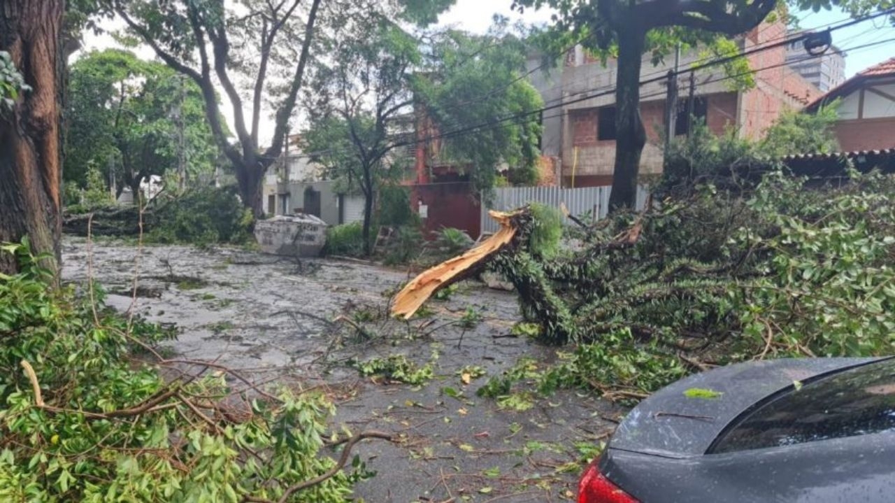 São Paulo: chuva derruba 200 árvores e causa queda de energia