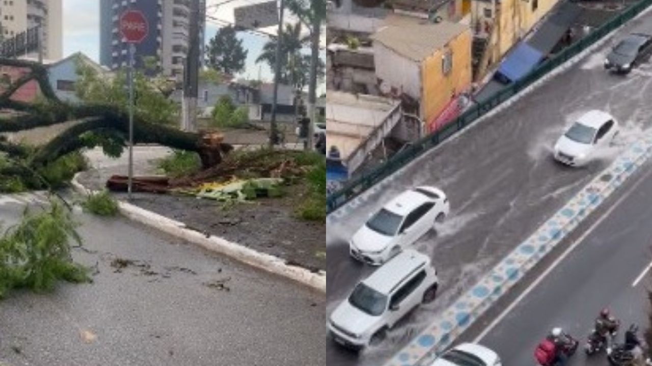Queda de árvores e alagamentos são registrados durante fortes chuvas em São Paulo