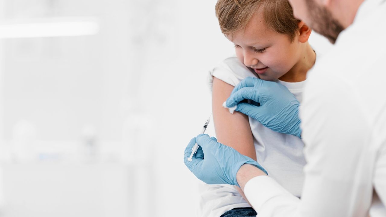 Estratégias para vacinação contra dengue no Brasil são discutidas