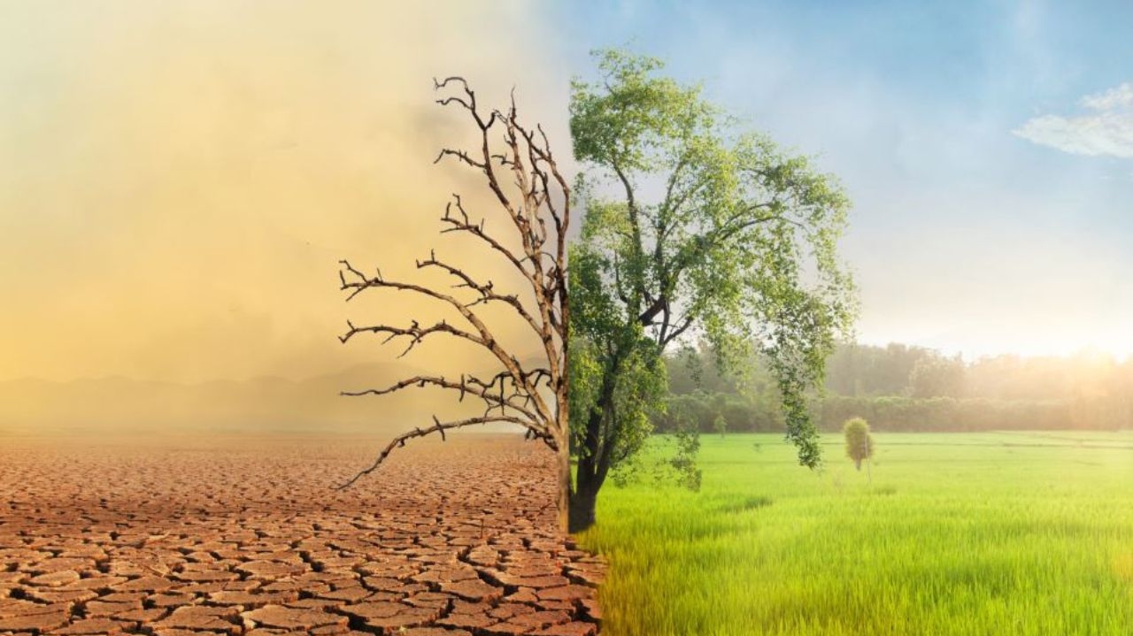 Altas temperaturas causam riscos à saúde; como a tecnologia pode auxiliar