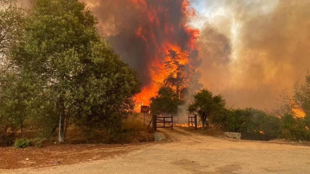 Presidente do Chile decreta estado de emergência após mortes nos incêndios florestais