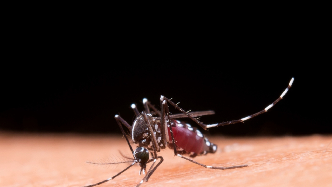 Número de casos de dengue cresce e se aproxima de 400 mil possíveis infectados