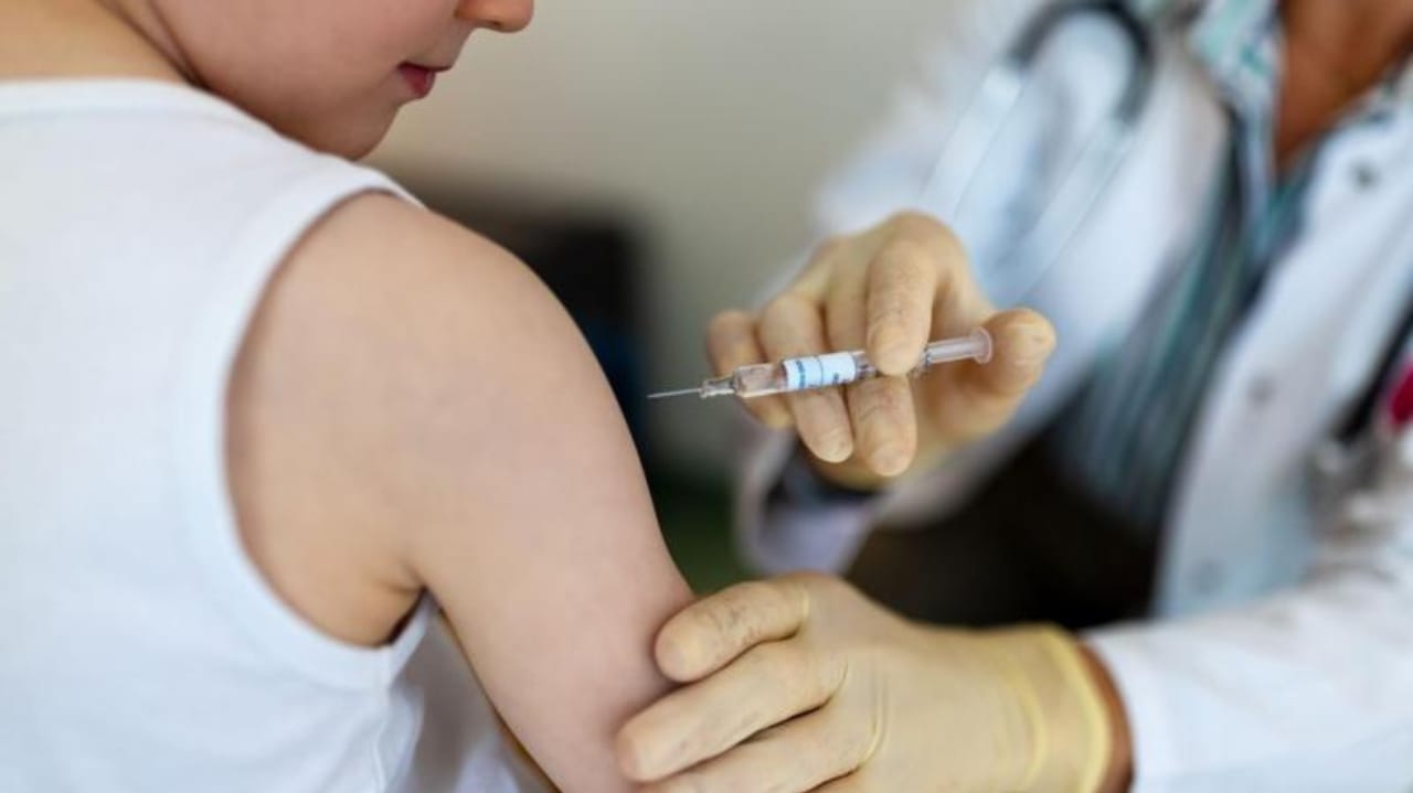 Vacina Qdenga: saiba quem pode tomar, eficácia e distribuição no Brasil