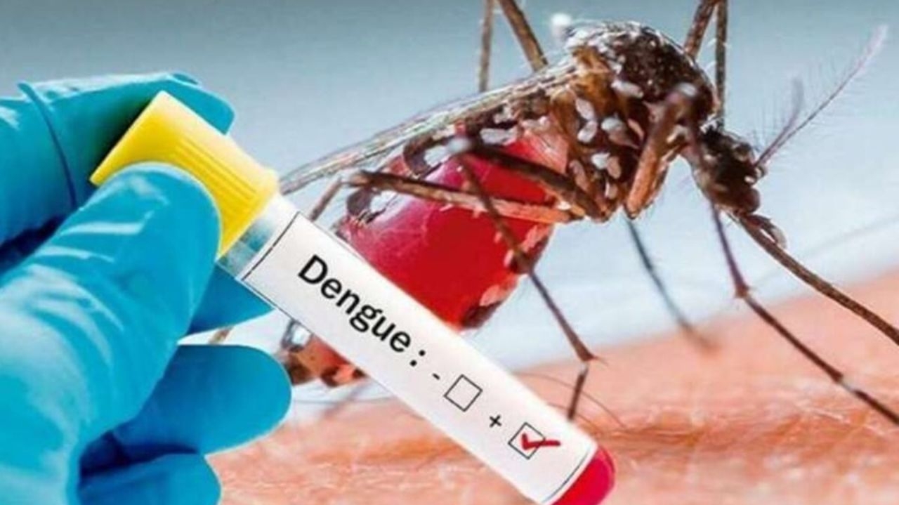 Medicamentos contraindicados podem causar dengue hemorrágica