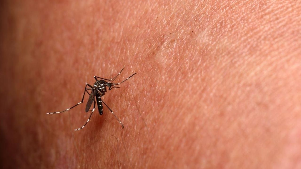 Belo Horizonte confirma primeira morte por chikungunya em 2024