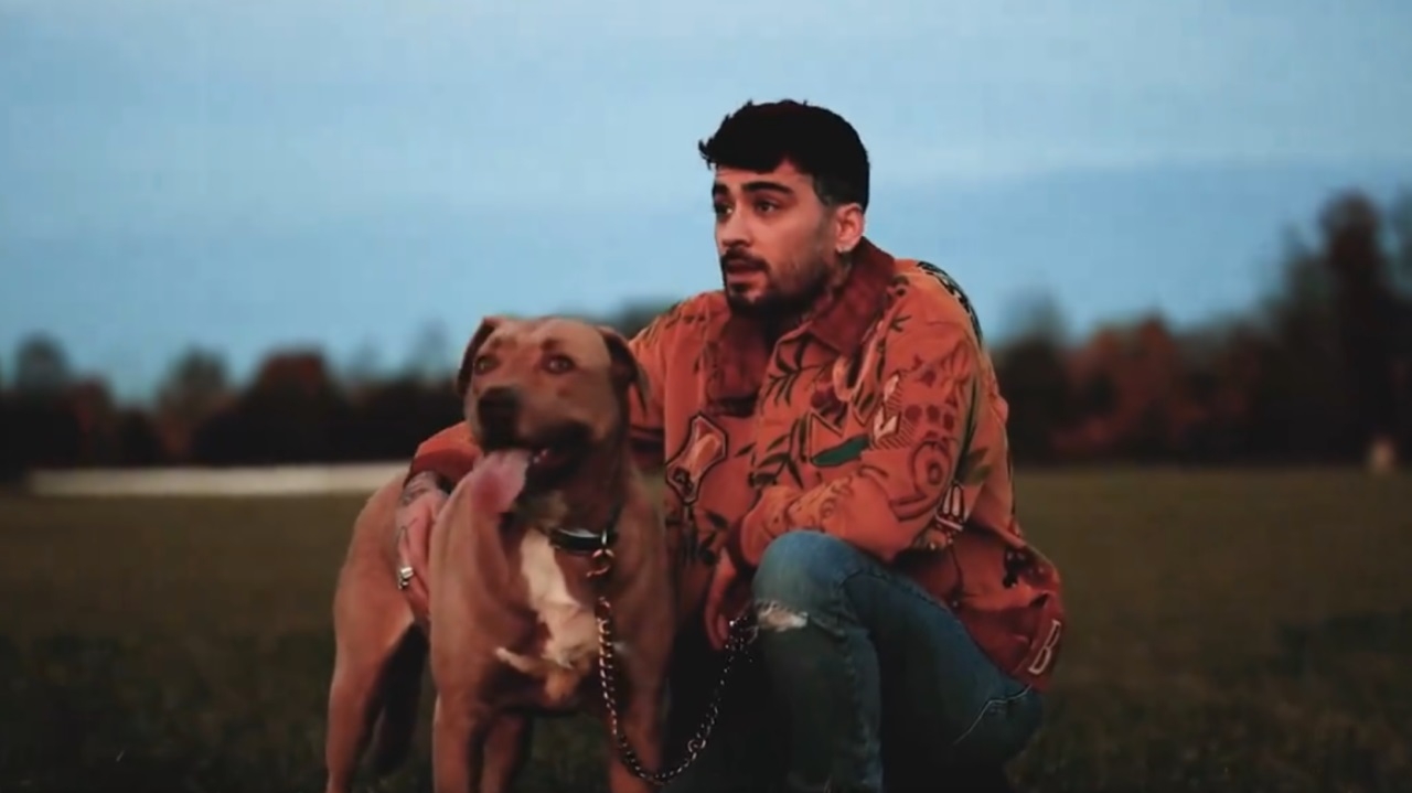 Zyan Malik anuncia novo álbum em teaser inédito e informa que o escreveu sozinho