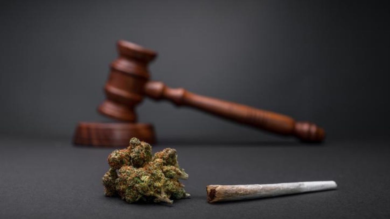 Descriminalização do porte de maconha: votação no STF está em cinco a três para a descriminalização