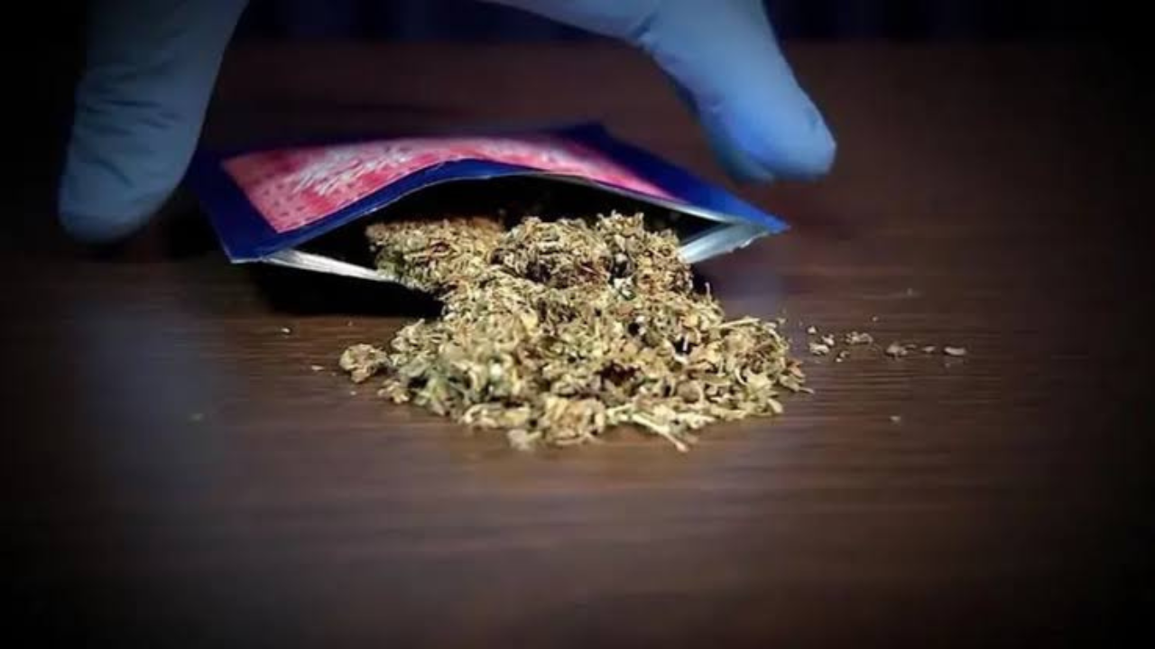 Mortes causadas por suposta overdose de K9 são investigadas em MG