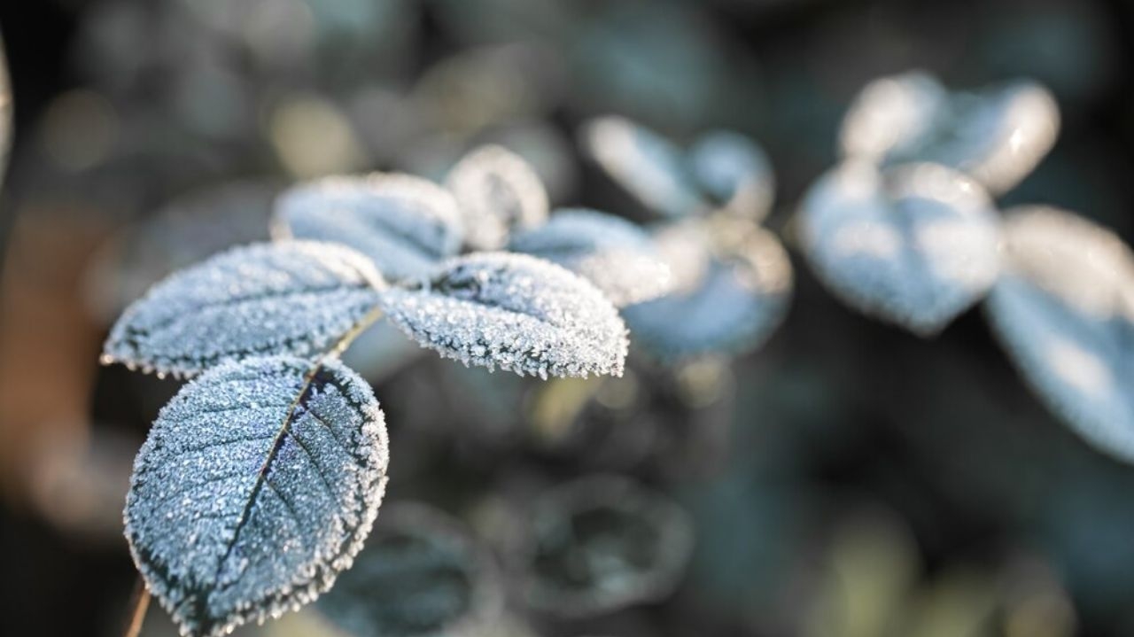 Massa de ar polar trará queda de temperatura e geadas ao Brasil