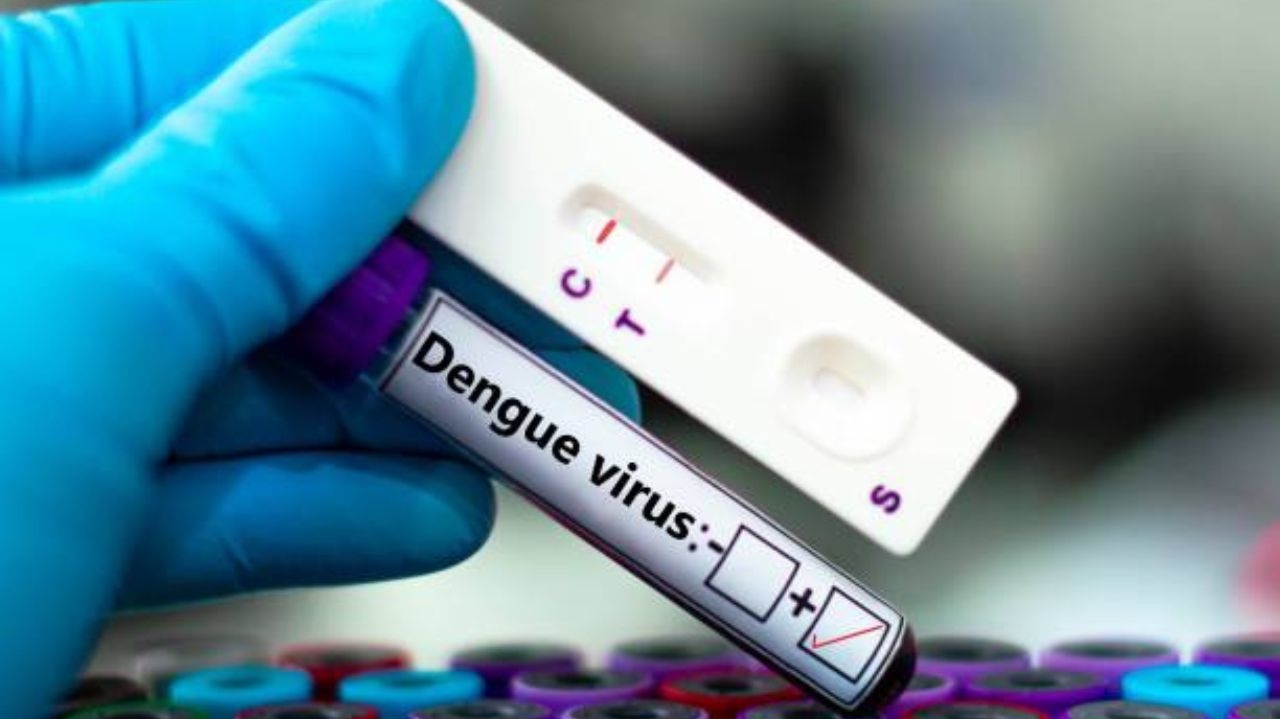 Dengue e doenças respiratórias: conheça os principais sintomas