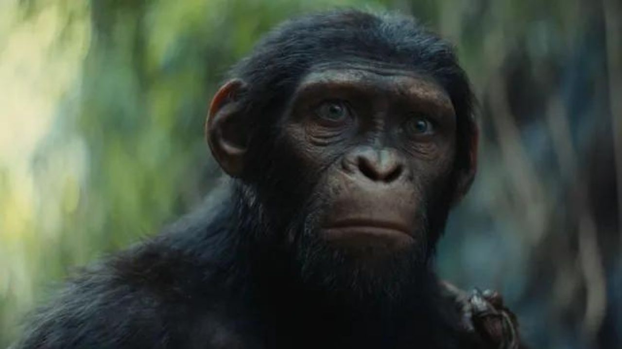 Trailer final de “Planeta dos Macacos: O Reinado” é liberado