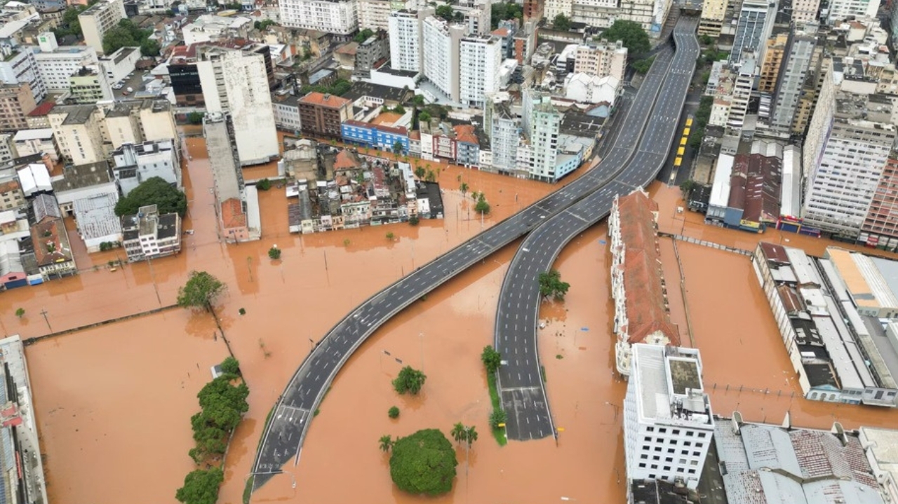 Famosos reagem ao resgate de cavalo que estava ilhado no Rio Grande do Sul