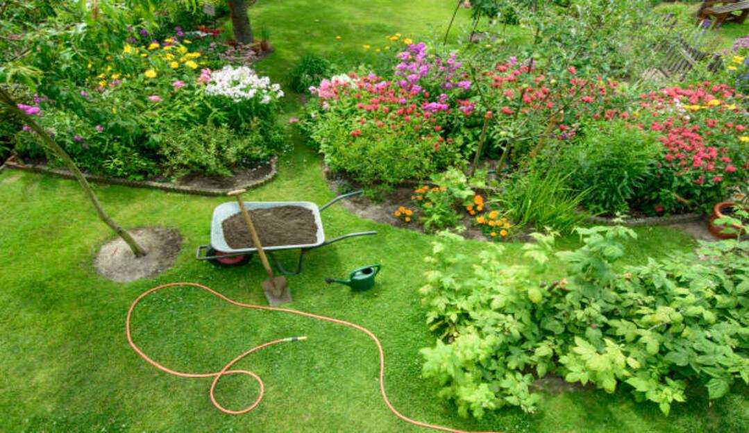 Cultivar plantas em casa é tendência no Brasil pós-pandemia