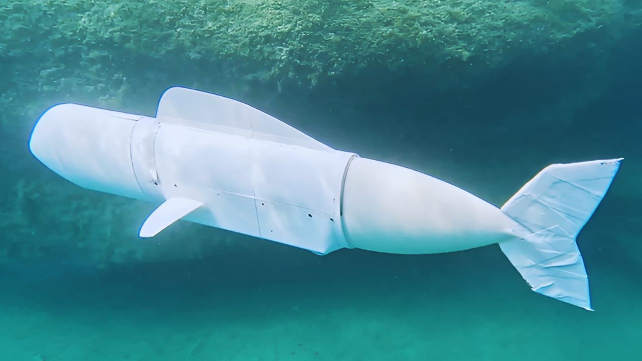 Peixe robô promete revolucionar na pesquisa dos oceanos