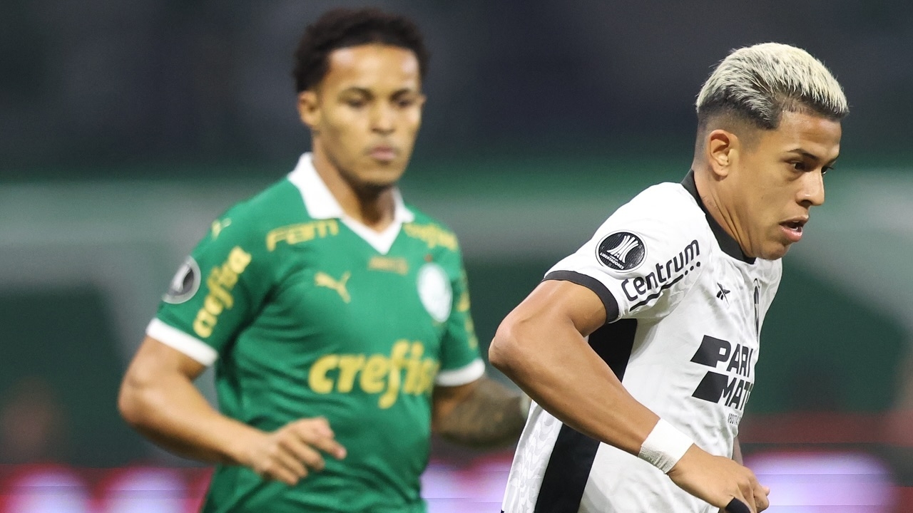 Botafogo esteve próximo de reviver um pesadelo novamente, contra o Palmeiras
