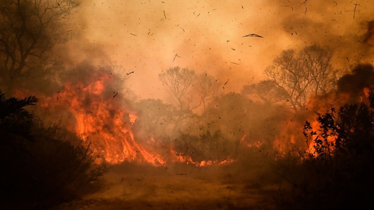 Moradores de Ribeirão Preto abandonam suas casas devido ao incêndio na região