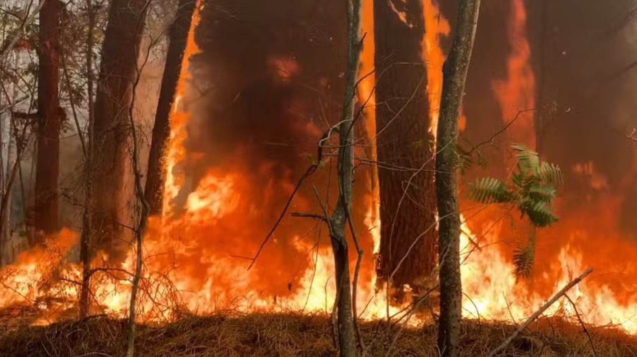 Ibama quer contratar aviões contra incêndio