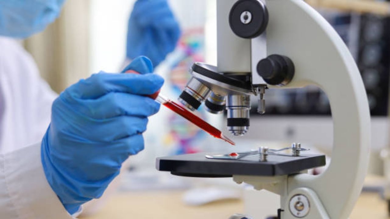 Anvisa autoriza novo tratamento para combater bactérias super-resistentes
