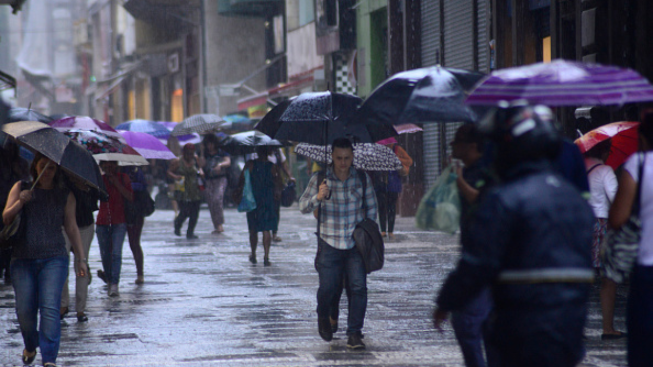 Chuva derrubou árvores e deixou 50 mil imóveis sem energia em São Paulo