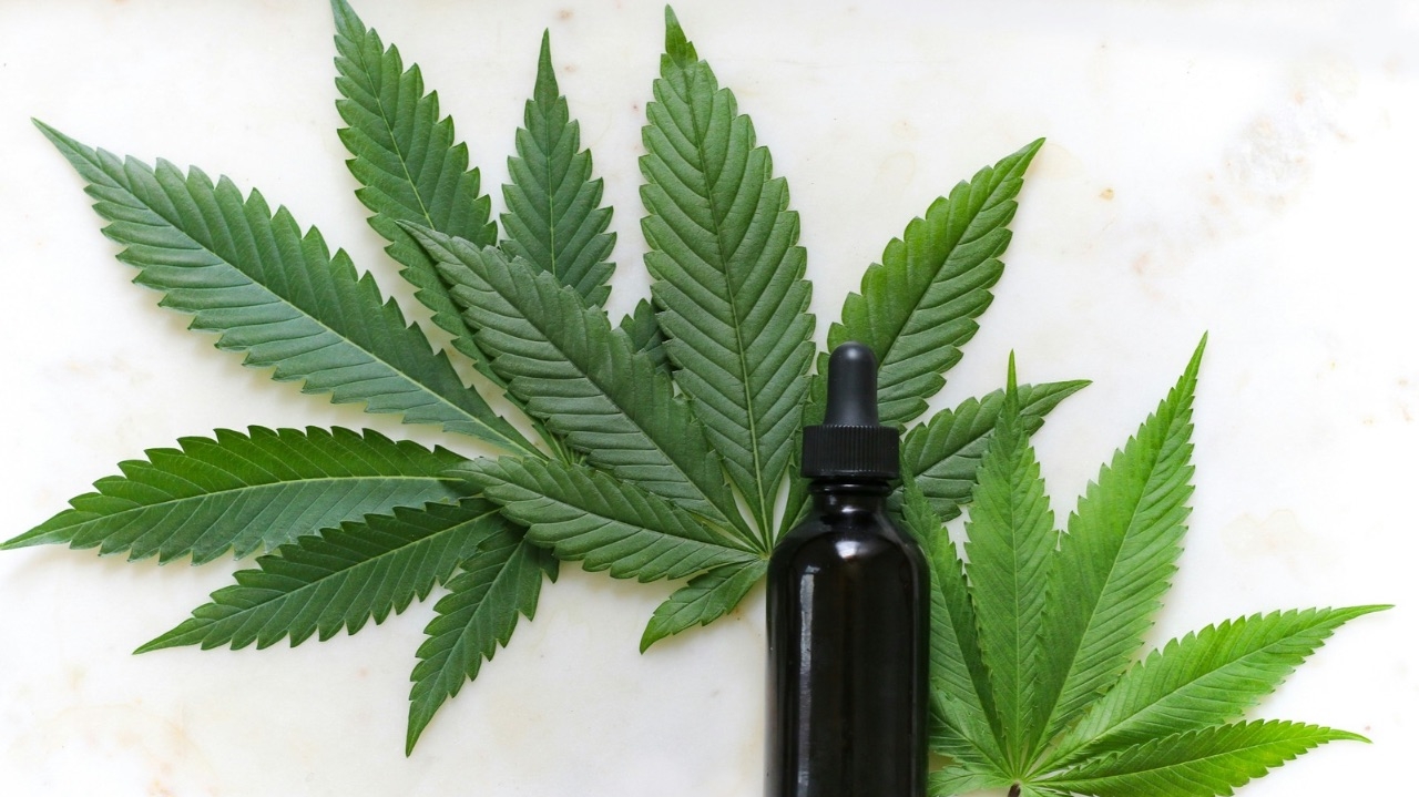 Cannabis medicinal: entenda a autorização do STJ