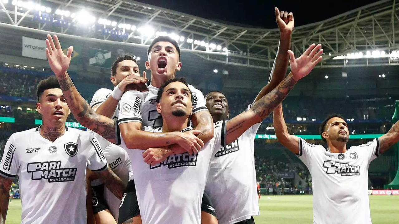 Com ajuda do acaso, Botafogo vence o Palmeiras e retoma a liderança do Brasileirão