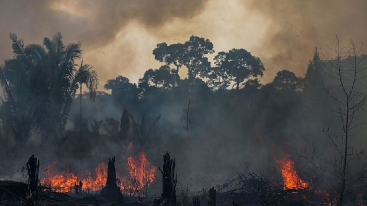 Incêndios na Amazônia disparam e revelam crise climática e ambiental