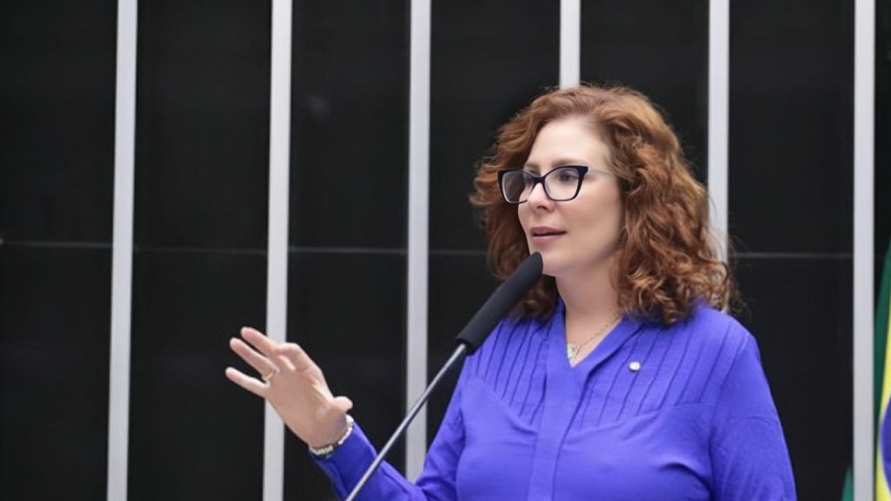 Lei que altera o tempo de internação de réus com transtornos mentais é votada por deputados