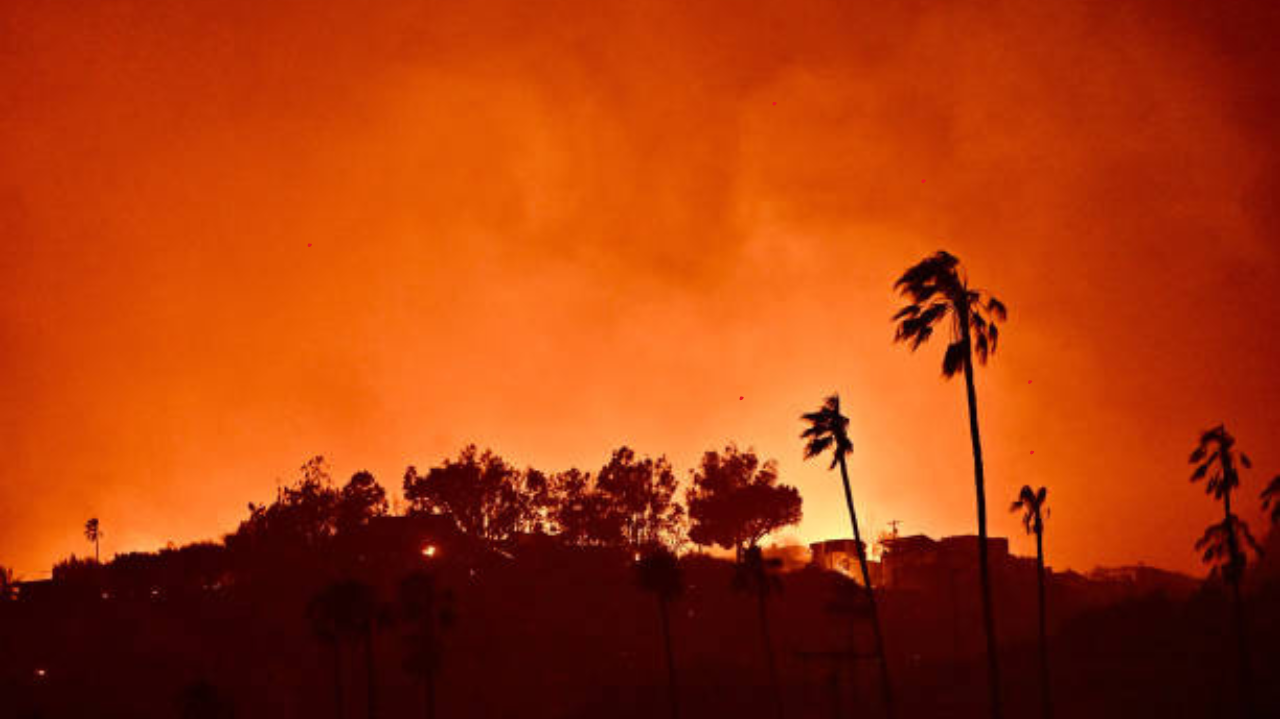 Edifícios em Los Angeles são afetados por incêndios florestais