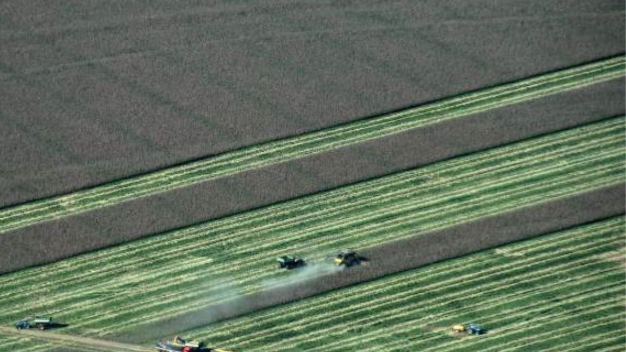 Governo busca solução para Agronegócio com suspensão do Plano Safra