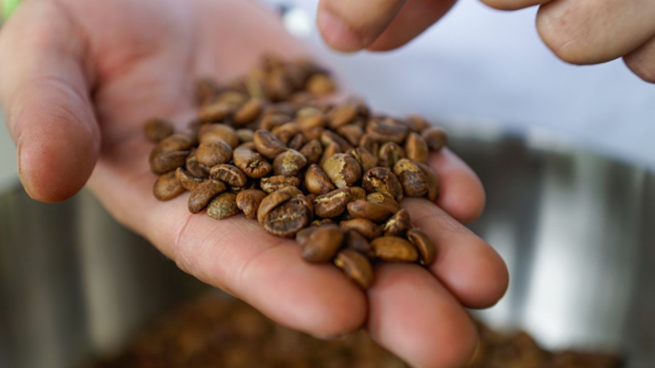 Governo Trump avalia isentar tarifa de importação do café