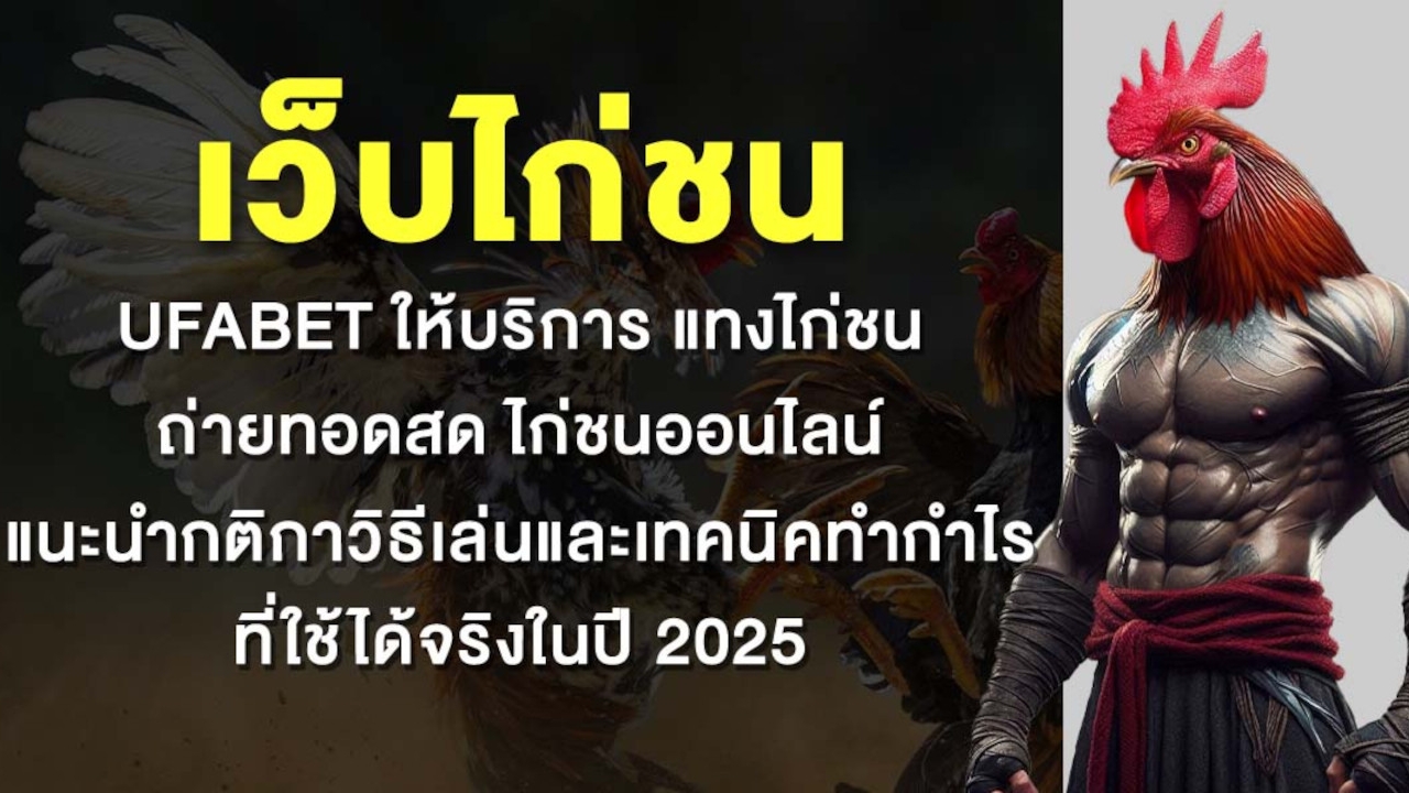 เว็บไก่ชน UFABET ให้บริการ แทงไก่ชน ถ่ายทอดสด ไก่ชนออนไลน์ แนะนำกติกาวิธีเล่นและเทคนิคทำกำไรที่ใช้ได้จริงในปี 2025