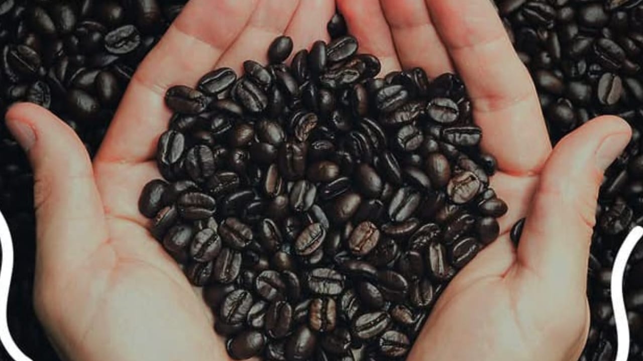 Governo divulga três cafés impróprios para consumo