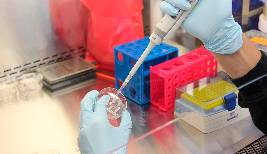 Coronavírus: Cientistas apontam para uma eficácia de até 74% da vacina da AstraZeneca