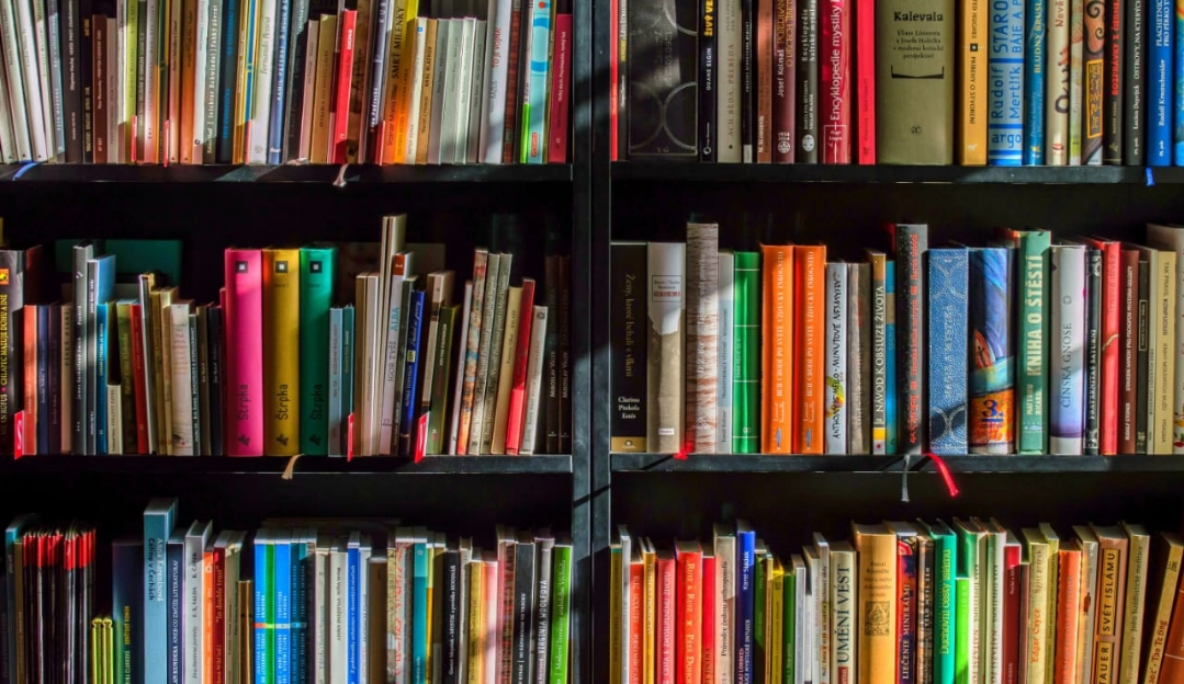 Dia Nacional do Livro: alta no mercado após crise anima livrarias