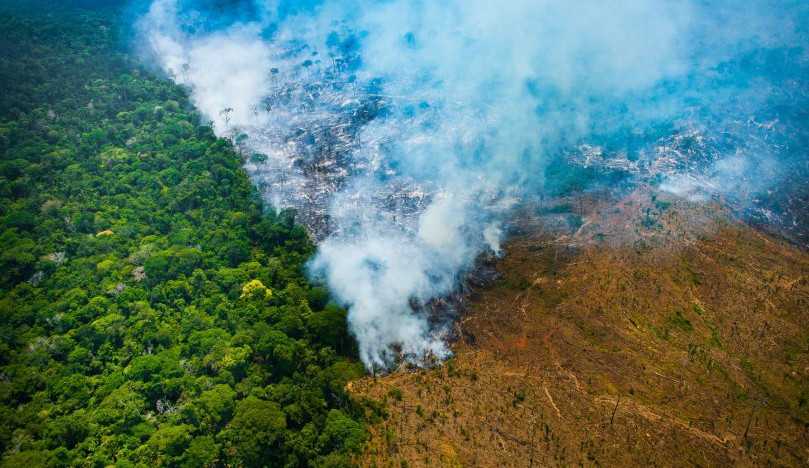 Amazônia pode perder até 70% de sua vegetação nativa e virar área deserta